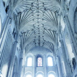 Colour photograph of Norwich Cathedral's roof.