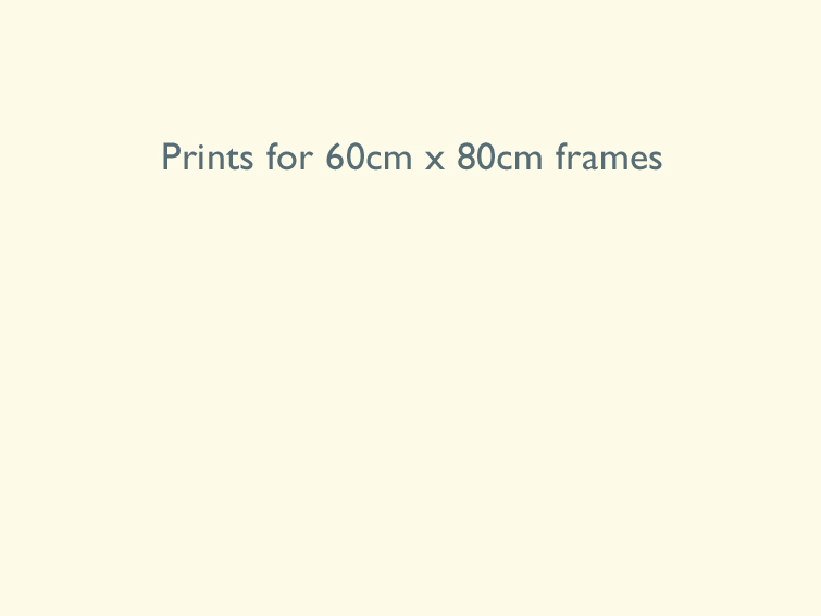 6 Prints for 60 x 80cm frames