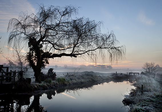 Early morning photograph of the river at Burgh-next-Aylsham.