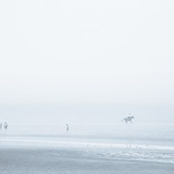 Horses on a misty beach at Hunstanton.