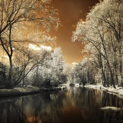 An infrared photograph of the river Bure and tree lined river banks.