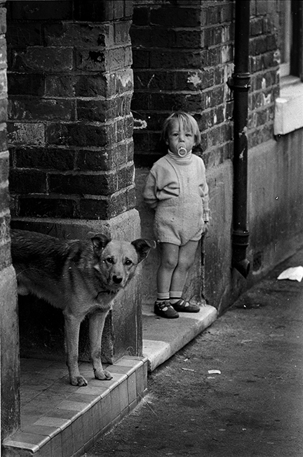 Black and white photograph of a little boy and a dog on their doorsteps in the back streets of Hull.