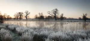 Colour photograph of frosty parklands in Norfolk