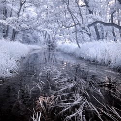 Infrared photograph of the river Ant in Norfolk.